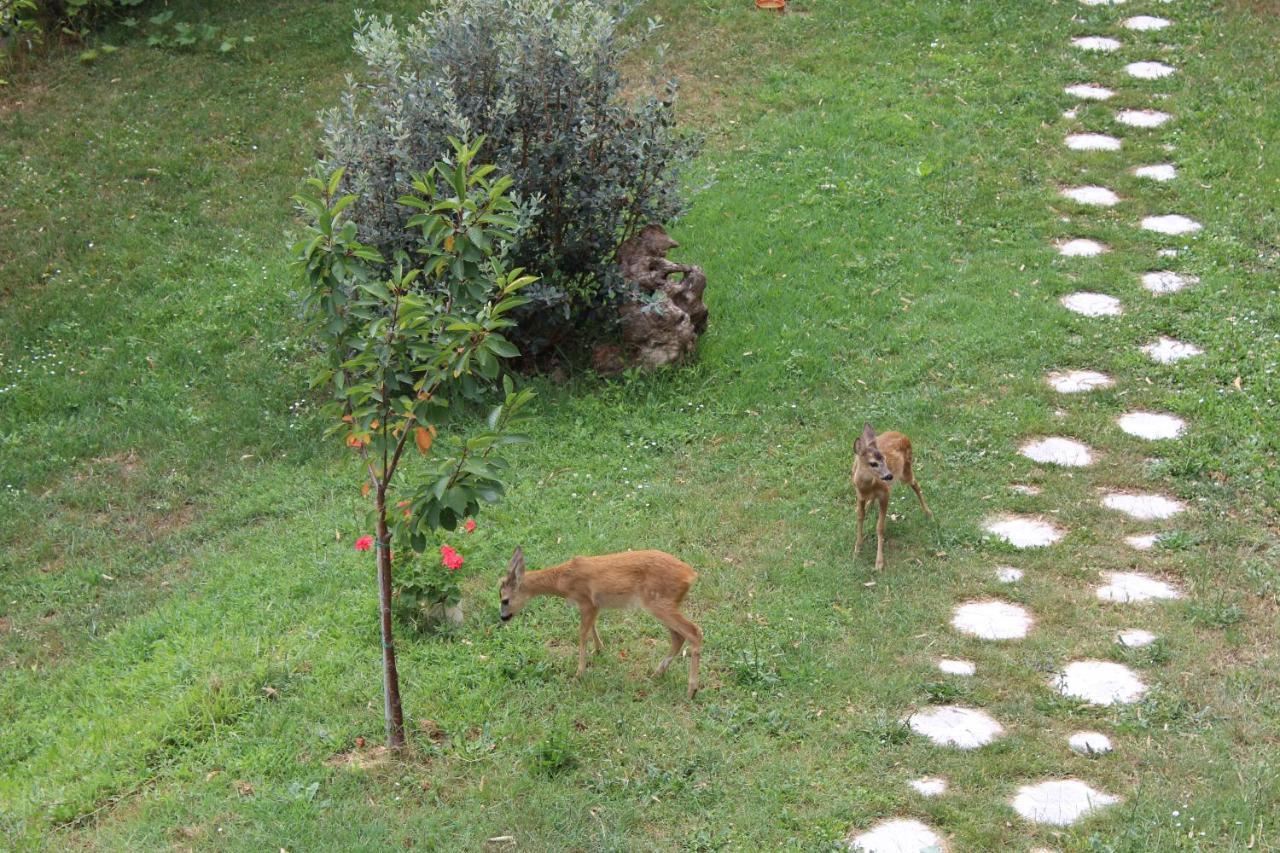 Segni E Impronta Panzió Finale Ligure Kültér fotó
