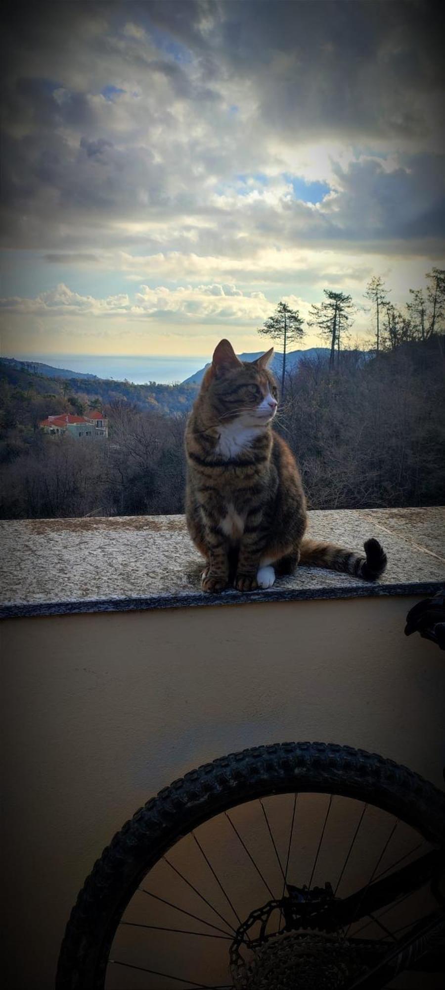 Segni E Impronta Panzió Finale Ligure Kültér fotó